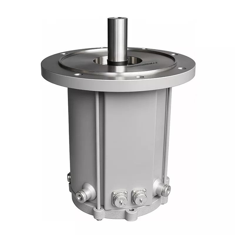 Roots Vacuum Pump Motor